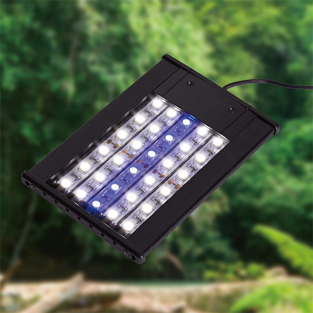 LED light lamp